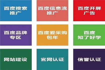 专业竞价SEM托管成功案例解析
